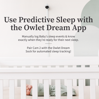 Thumbnail for Owlet Cam 2 - White/Sleepy Sage