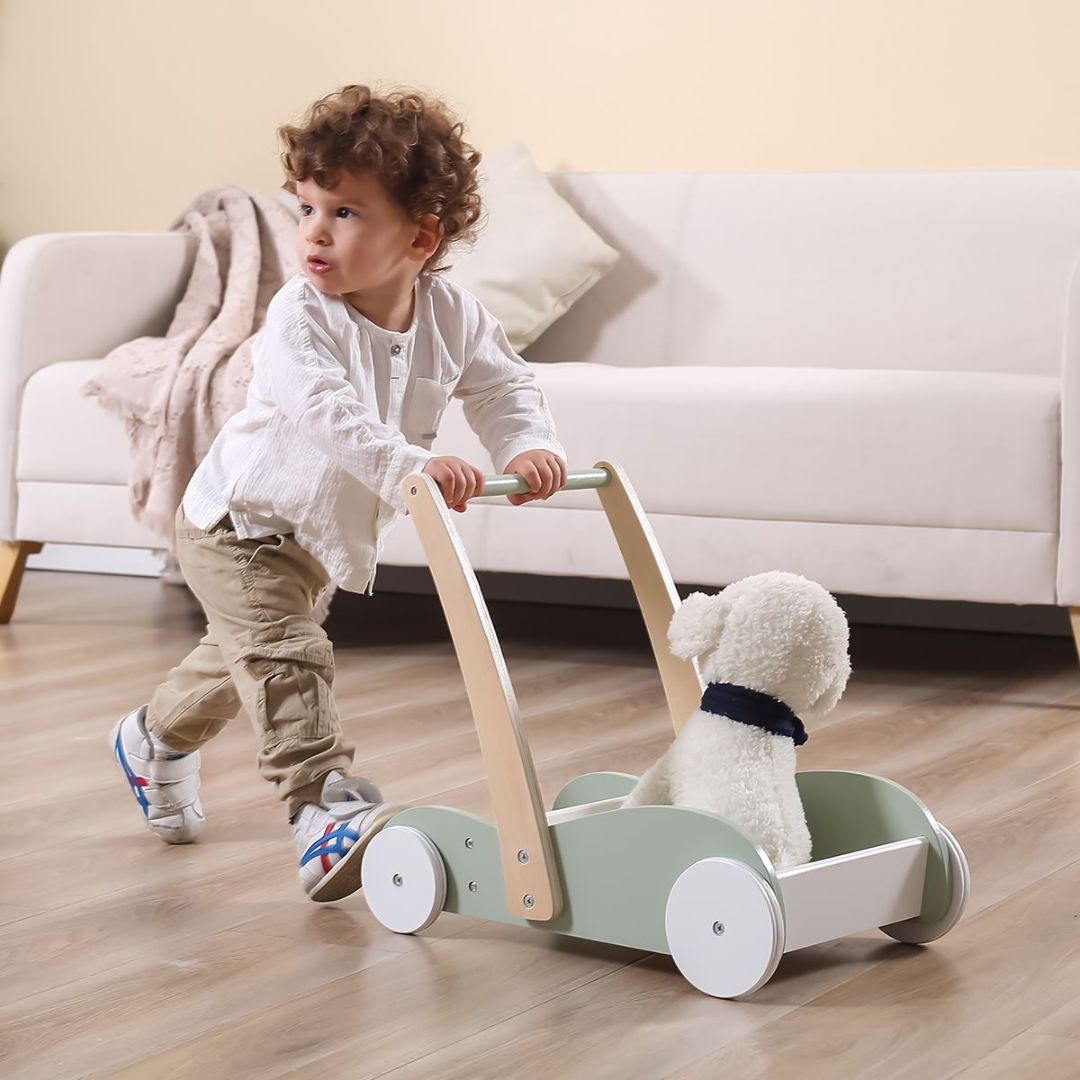 Mini Mover Baby Walker  - Mint