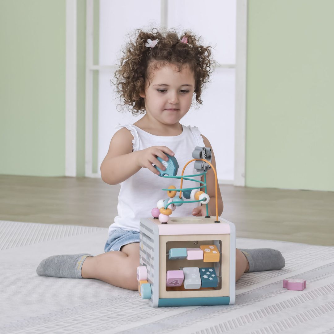 PolarB 5-in-1 Wooden Activity Cube