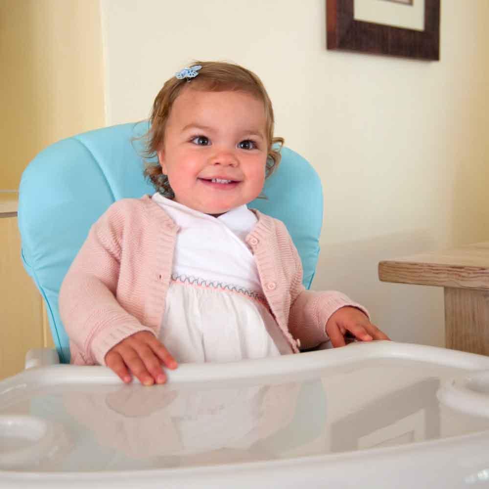 2-in-1 Feeding Chair - Ellie Blue