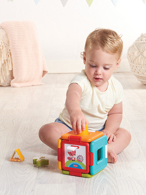 2-in-1 Shape Sorter Puzzle